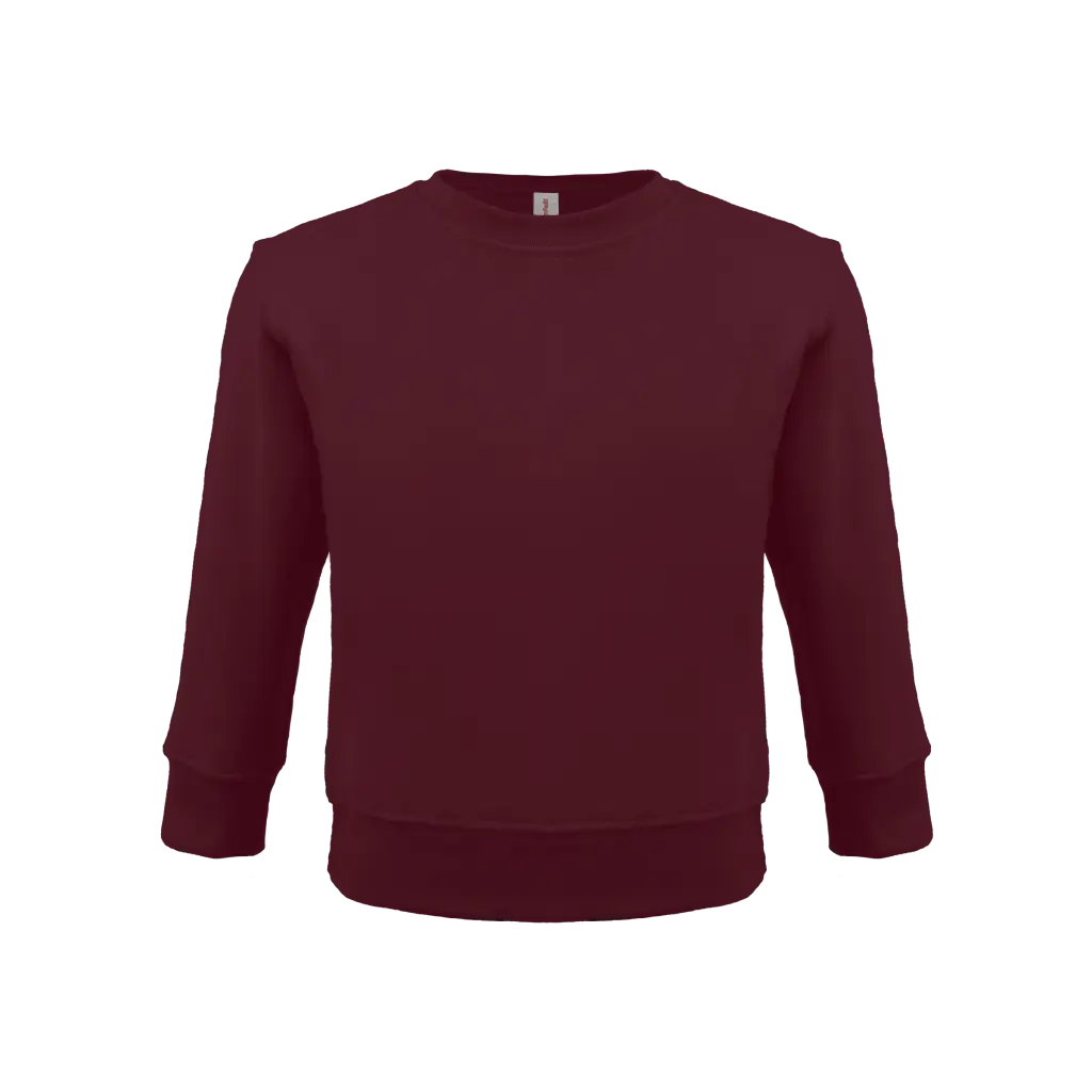 Toddler Sweatshirt, Maroon